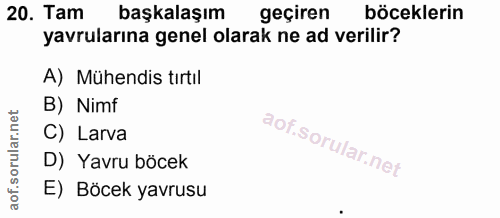 20. soru: Tam başkalaşım geçiren böceklerin yavrularına genel olarak ne ad verilir? A) Mühendis tırtıl B) Nimf C) Larva D) Yavr…