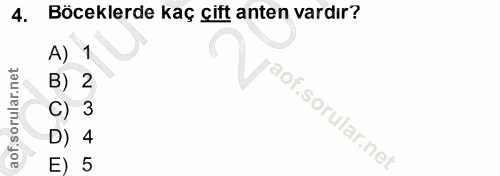 4. soru: Böceklerde kaç çift anten vardır? A) 1 B) 2 W C) 3 D) 4 E) 5