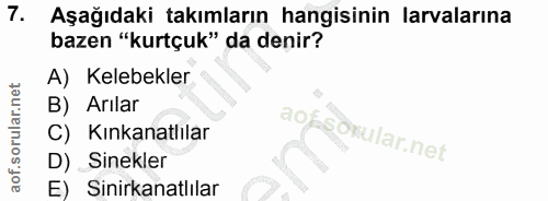 7. soru: Aşağıdaki takımların hangisinin larvalarına bazen "kurtçuk" da denir? A) Kelebekler B) Arılar Kınkanatlilar aofsokula…
