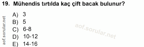 19. soru: Mühendis tırtılda kaç çift bacak bulunur? A) 3 B) 5 C) 6-8 D) 10-12 E) 14-16
