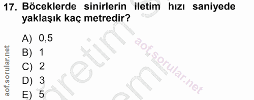 17. soru: Böceklerde sinirlerin iletim hızı saniyede yaklaşık kaç metredir? A) 0,5 B) 1 C) 2 şorular.net D) 3 E) 5