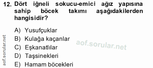 12. soru: Dört iğneli sokucu-emici ağız yapısına sahip böcek takımı aşağıdakilerden hangisidir? A) Yusufçuklar B) Kulağa kaçanl…
