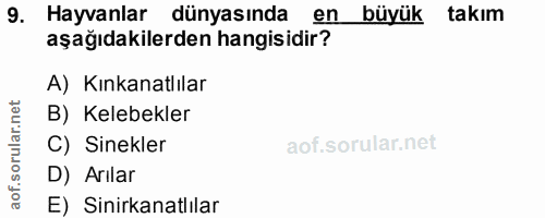 9. soru: Hayvanlar dünyasında en büyük takım aşağıdakilerden hangisidir? A) Kınkanatlılar B) Kelebekler C) Sinekler D) Arılar…