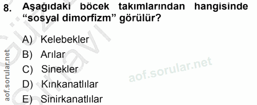 8. soru: Aşağıdaki böcek takımlarından hangisinde "sosyal dimorfizm" görülür? A) Kelebekler B) Arılar C) Sinekler D) Kınkanatl…