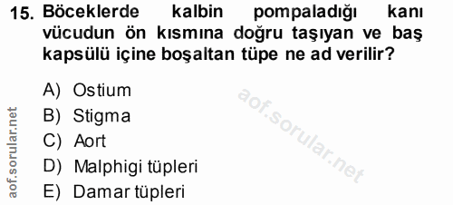 15. soru: Böceklerde kalbin pompaladiğı kanı vücudun ön kısmına doğru taşıyan ve baş kapsülü içine boşaltan tüpe ne ad verilir?…