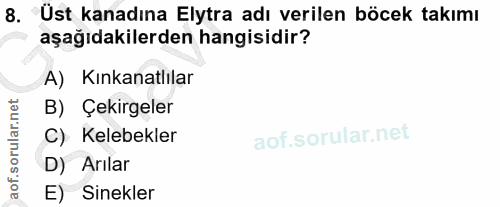 8. soru: Ust kanadına Elytra adı verilen böcek takımı aşağıdakilerden hangisidir? A) Kınkanatlılar B) Çekirgeler C) Kelebekler…