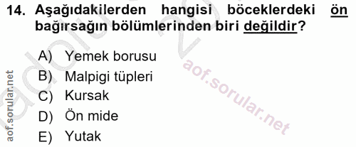 14. soru: Aşağıdakilerden hangisi böceklerdeki ön bağırsağın bölümlerinden biri değildir? A) Yemek borusu B) Malpigi tüpleri C)…