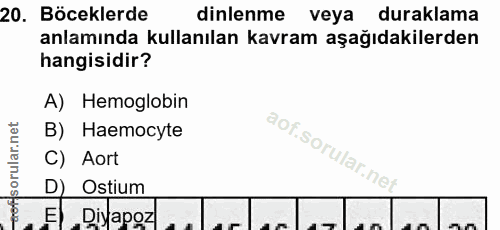 20. soru: Böceklerde dinlenme veya duraklama anlamında kullanılan kavram aşağıdakilerden hangisidir? A) Hemoglobin B) Haemocyte…