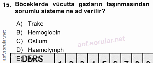 15. soru: Böceklerde vücutta gazların taşınmasından sorumlu sisteme ne ad verilir? A) Trake B) Hemoglobin C) Ostium D) Haemolym…