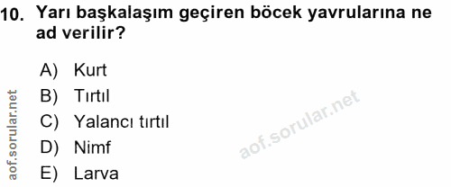 10. soru: Yarı başkalaşım geçiren böcek yavrularına ne ad verilir? A) Kurt B) Tırtil C) Yalancı tırtil D) Nimf E) Larva