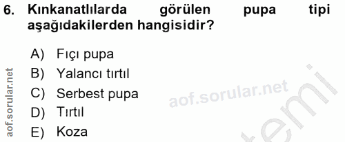 6. soru: Kınkanatlılarda görülen pupa tipi aşağıdakilerden hangisidir? A) Fıçı pupa B) Yalancı tırtıl C) Serbest pupa D) Tirti…