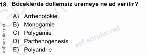 18. soru: Böceklerde döllemsiz üremeye ne ad verilir? A) Arrhenotokie B) Monogamie C) Polygamie D) Parthenogenesis E) Polyandrie