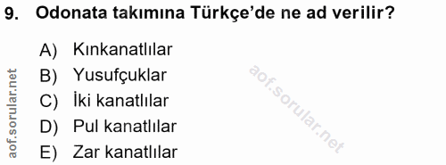 9. soru: Odonata takımına Türkçe'de ne ad verilir? A) Kınkanatlılar B) Yusufçuklar C) Iki kanatlılar D) Pul kanatlılar E) Zar…