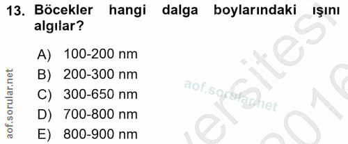 13. soru: Böcekler hangi dalga boylarındaki algilar? A) 100-200 nm B) 200-300 nm aof.sqrtutaphet C) 300-650 nm D) 700-800 nm E)…