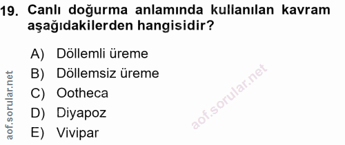 19. soru: Canlı doğurma anlamında kullanılan kavram aşağıdakilerden hangisidir? A) Döllemli üreme B) Döllemsiz üreme C) Ootheca…