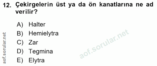 12. soru: Çekirgelerin üst ya da ön kanatlarına ne ad verilir? A) Halter B) Hemielytra C) Zar D) Tegmina E) Elytra
