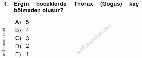1. soru: Ergin böceklerde Thorax (Göğüs) kaç bölmeden oluşur? A) 5 B) 4 C) 3 D) 2 1