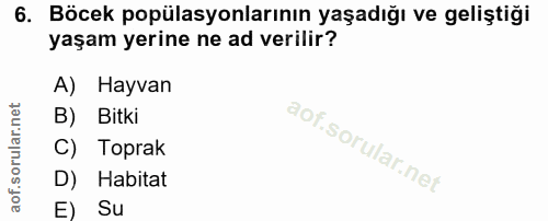 6. soru: Böcek popülasyonlarının yaşadığı ve geliştiği yaşam yerine ne ad verilir? A) Hayvan B) Bitki C) Toprak D) Habitat E) Su