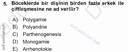 5. soru: Böceklerde bir dişinin birden fazla erkek ile çiftleşmesine ne ad verilir? A) Polygamie B) Polyandrie C) Parthenogene…