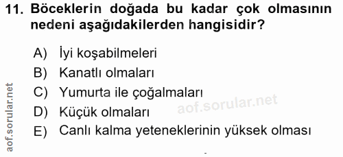 11. soru: Böceklerin doğada bu kadar çok olmasının nedeni aşağıdakilerden hangisidir? A) İyi koşabilmeleri B) Kanatlı olmaları…