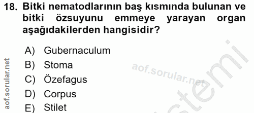 18. soru: Bitki nematodlarının baş kısmında bulunan ve bitki özsuyunu emmeye yarayan organ aşağıdakilerden hangisidir? A) Guber…