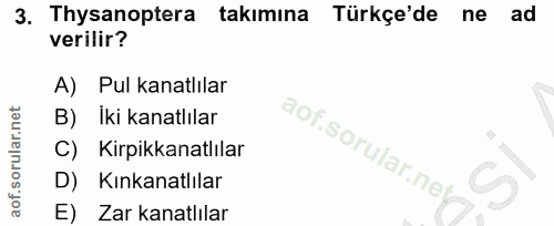 3. soru: Thysanoptera takımına Türkçe'de ne ad verilir? A) Pul kanatlılar B) Iki kanatlılar C) Kirpikkanatlılar D) Kınkanatlıl…