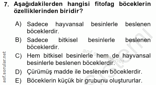 7. soru: Aşağıdakilerden hangisi fitofag böceklerin özelliklerinden biridir? A) Sadece hayvansal besinlerle beslenen böceklerd…