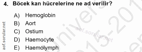 4. soru: Böcek kan hücrelerine ne ad verilir? Hemoglobin Aort C) Ostium Haemocyte E) Haemolymph