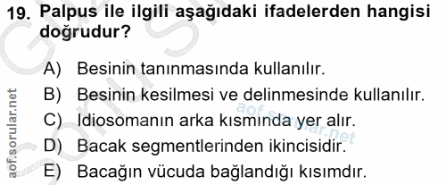 19. soru: Palpus ile ilgili aşağıdaki ifadelerden hangisi doğrudur? A) Besinin tanınmasında kullanılır. B) Besinin kesilmesi ve…