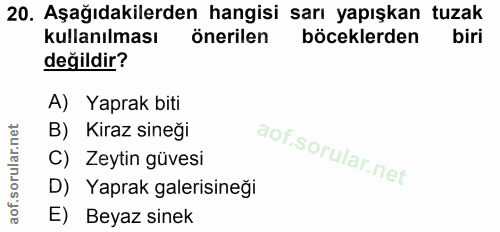 20. soru: Aşağıdakilerden hangisi sarı yapışkan tuzak kullanılması önerilen böceklerden biri değildir? A) Yaprak biti B) Kiraz…
