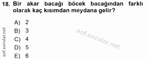18. soru: Bir akar bacağı böcek bacağından farklı olarak kaç kısımdan meydana gelir? A) 2 B) 3 C) 4 D) 5 E) 6