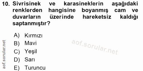 10. soru: Sivrisinek ve • karasineklerin aşağıdaki renklerden hangisine boyanmış cam ve duvarların üzerinde hareketsiz Kaldığı…