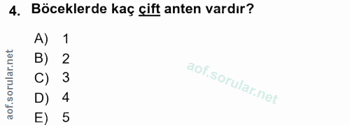 4. soru: Böceklerde kaç çift anten vardır? A) 1 B) 2 3 D) 4 E) 5