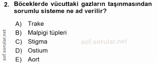 2. soru: Böceklerde vücuttaki gazların taşınmasından sorumlu sisteme ne ad verilir? A) Trake B) Malpigi tüpleri C) Stigma D) O…