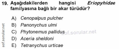 19. soru: Aşağıdakilerden hangisi Eriopyhidae familyasına bağlı bir akar türüdür? A) Cenopalpus pulcher orular.net B) Panonychu…