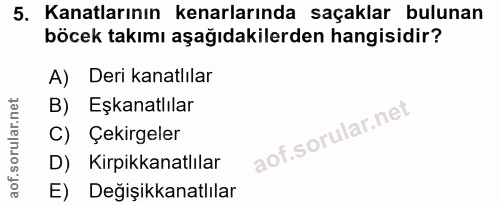 5. soru: Kanatlarının kenarlarında saçaklar bulunan böcek takımı aşağıdakilerden hangisidir? A) Deri kanatlılar B) Eşkanatlıla…