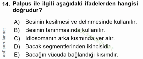 14. soru: Palpus ile ilgili aşağıdaki ifadelerden hangisi doğrudur? A) Besinin kesilmesi ve delinmesinde kullanılır. B) Besinin…