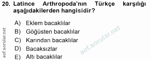 20. soru: Latince Arthropoda'nın Türkçe karşılığı aşağıdakilerden hangisidir? A) Eklem bacaklılar B) Göğüsten bacaklılar C) Kar…