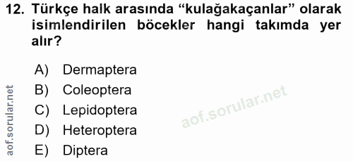 12. soru: Türkçe halk arasında "kulağakaçanlar" olarak isimlendirilen böcekler hangi takımda yer alır? A) Dermaptera B) Coleopt…