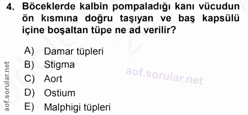 4. soru: Böceklerde kalbin pompaladığı kanı vücudun Ön kısmına doğru taşıyan ve baş kapsülü içine boşaltan tüpe ne ad verilir?…