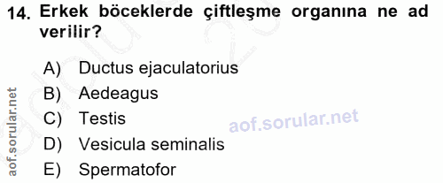 14. soru: Erkek böceklerde çiftleşme organına ne ad verilir? A) Ductus ejaculatorius B) Aedeagus C) Testis D) Vesicula seminali…