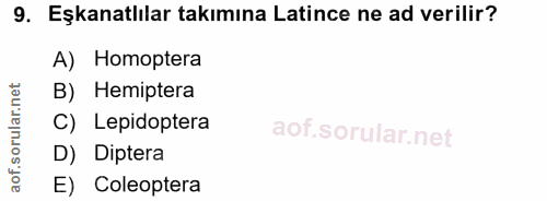 9. soru: Eşkanatlılar takımına Latince ne ad verilir? A) Homoptera B) Hemiptera C) Lepidoptera D) Diptera E) Coleoptera