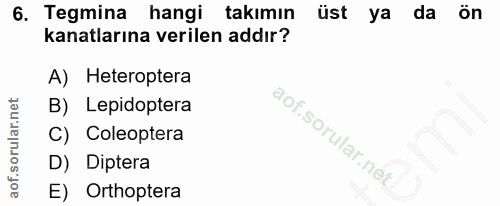 6. soru: Tegmina hangi takımın üst ya da ön kanatlarına verilen addır? A) Heteroptera B) Lepidoptera C) Coleoptera D) Diptera…
