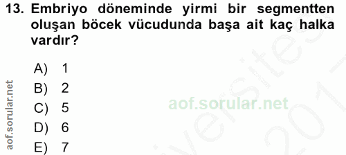 13. soru: Embriyo döneminde yirmi bir segmentten oluşan böcek vücudunda başa ait kaç halka vardır? A) 1 B) 2 C) 5 D) 6 E) 7