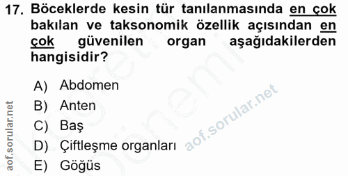 17. soru: Böceklerde kesin tür tanılanmasında en çok bakılan ve taksonomik özellik açısından en çok güvenilen organ aşağıdakile…