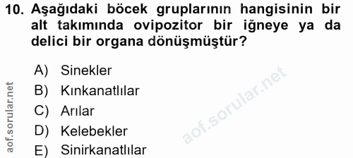 10. soru: Aşağıdaki böcek gruplarının hangisinin bir alt takımında ovipozitor bir iğneye ya da delici bir organa dönüşmüştür? A…