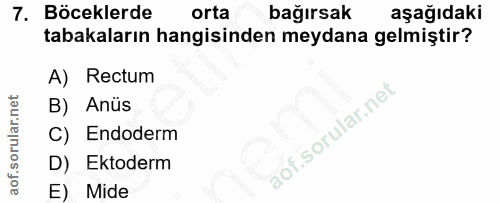 7. soru: Böceklerde orta bağırsak aşağıdaki tabakaların hangisinden meydana gelmiştir? A) Rectum B) Anüs C) Endoderm aof.sorul…