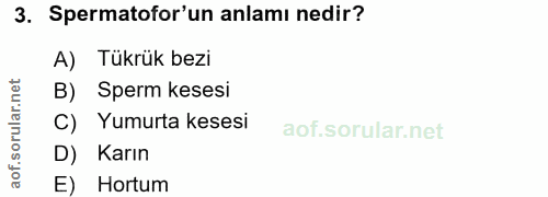 3. soru: Spermatofor'un anlamı nedir? A) Tükrük bezi B) Sperm kesesi C) Yumurta kesesi Karın E) Hortum