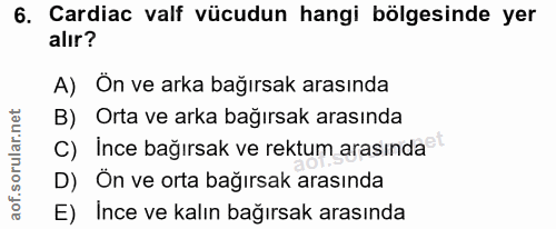 6. soru: Cardiac valf vücudun hangi bölgesinde yer alır? A) Ön ve arka bağırsak arasında B) Orta ve arka bağırsak arasında C)…