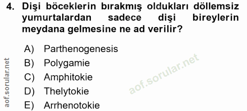 4. soru: Dişi böceklerin bırakmış oldukları döllemsiz yumurtalardan sadece dişi bireylerin meydana gelmesine ne ad verilir? A)…